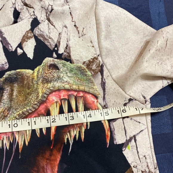 Kid Dinosaur Hoodie No Size Tag!! - Picture 3 of 7